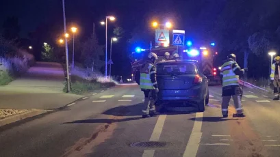 Mannen körde på en refug och mejade ner en trafikskylt – med 2,73 promille i blodet.