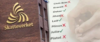 Därför får inte ditt barn heta Chill-Britt, Alkis eller Pistol