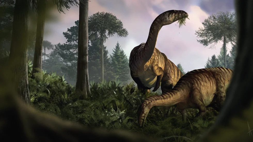 Dinosaurier har varit fenor på att äta det som bjuds. Illustration av sauropodomorfer i tidig jura.