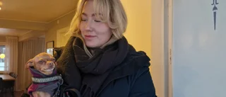 Hunden Senaps väg till ett bättre liv efter svåra åren