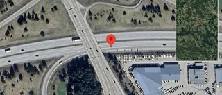 Rådjur på fel sida av viltstängslet på E18