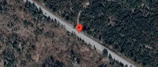 Stopp på väg 255 på grund av en viltolycka