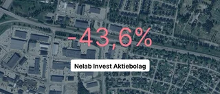 Årsredovisningen klar: Så gick det för Nelab Invest Aktiebolag