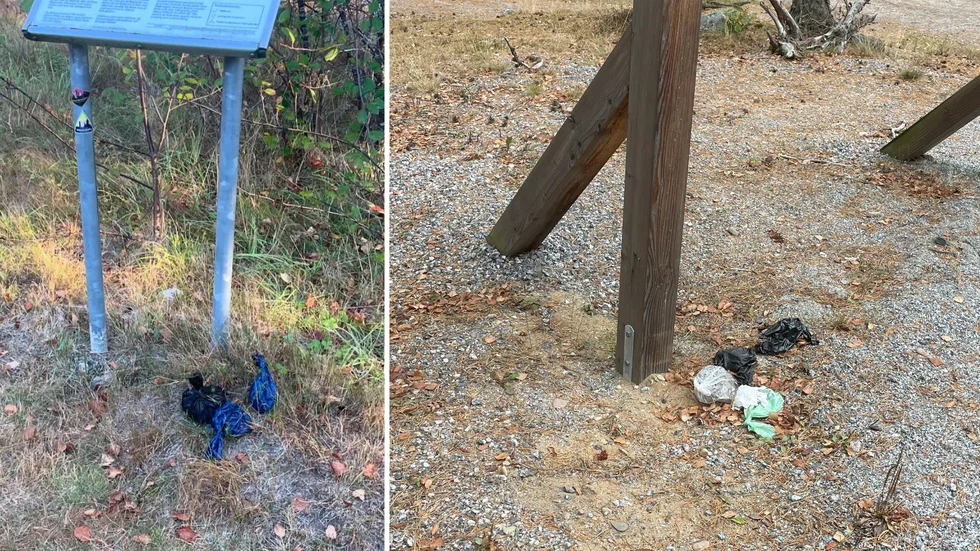 Hundpajs i påsar, men dumpade på marken vid Åsbymon.