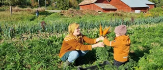 Nu dignar familjen Sandlunds köksbord av grönsaker