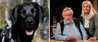 Fallet med försvunna Essie granskas av Leif GW