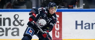 Slarvigt LHC förlorade mot Luleå – vi rapporterade
