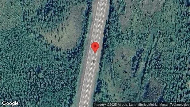 Varning för hundar på vägen på E4