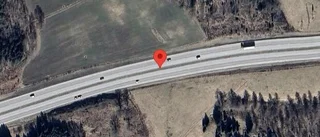 Rådjur innanför viltstängslet på E4
