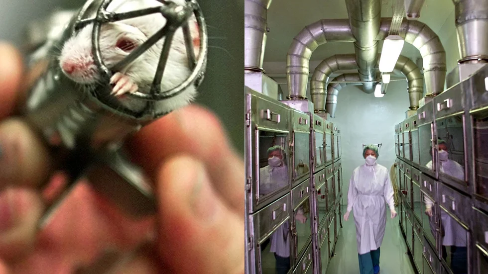 Arkivbilder från ett biologiskt forskningsinstitut i Serpuchov söder om Moskva 2001. Här tillverkades biologiska vapen under Sovjeteran. Nu har en annan bioanläggning fått nytt liv, enligt medieuppgifter.