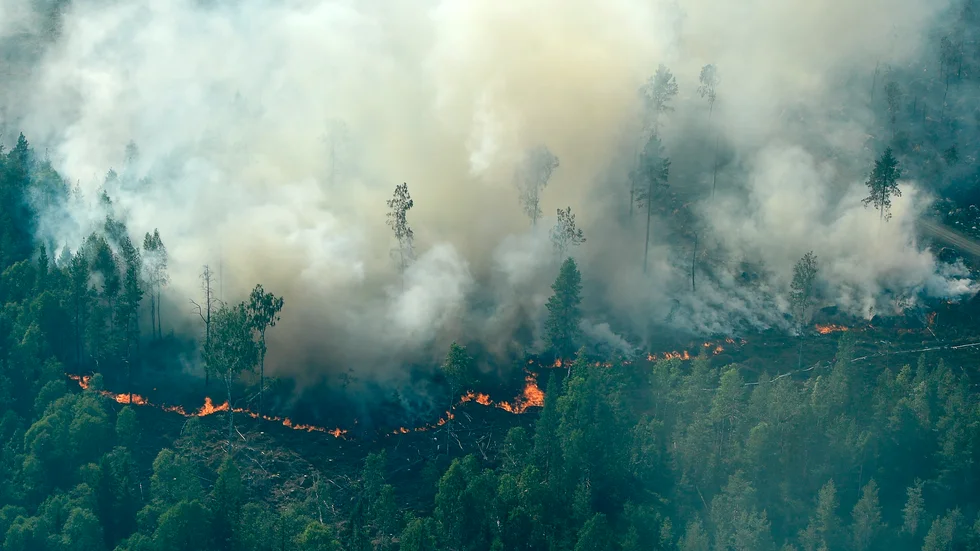 Det brinner på många håll i Sverige. Flygbilden visar en skogsbrand vid Ljusdal.