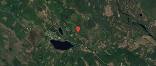 Nya ägare till skogsmark i Rentjärn