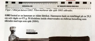 Attackerade Skelleftepoliser med kniv och hammare: ”Jag ville hellre bli skjuten och dö än omhändertagen”
