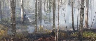Ny brand i Vrinneviskogen