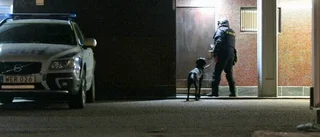 Man anhållen efter polistillsyn