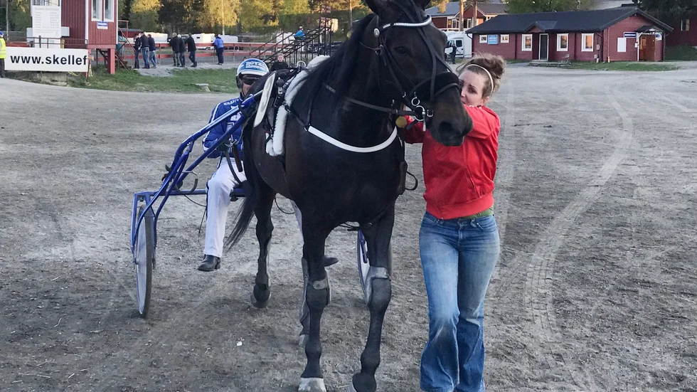 Robin Hood Bi tas om hand av sin tränare Josefin Eriksson.