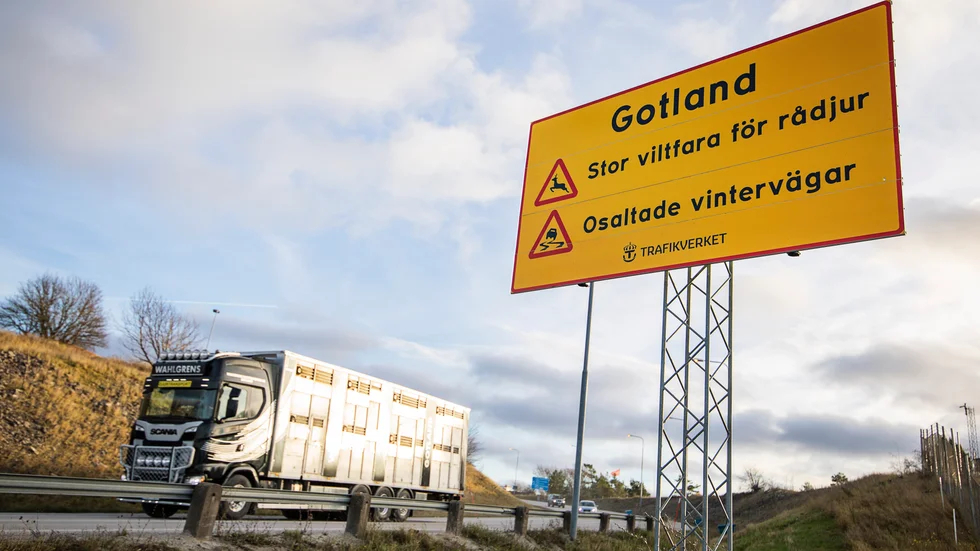 Färjeleden och hamnbacken i Visby har fått en ny skylt som varnar för både rådjur och osaltade vägar på Gotland.