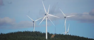 Delade meningar om vindkraften