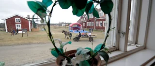 Glädje i Vebomark