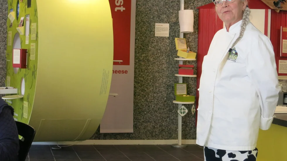 Aina Bergström-Pettersson. Informerade på Ostens Lager i Ånäset.
