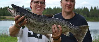 Team Sundström gick om och förbi