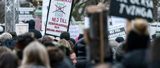 Även foliehattar har betalat skatt