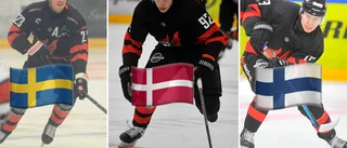  Så in i Norden bra – i Nyköpings SK: "Det finns absolut mer potential"