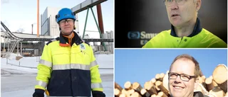 Industrin i Piteå tycker olika om Norrbotniabanans dragning: "Hugget som stucket för vår del"