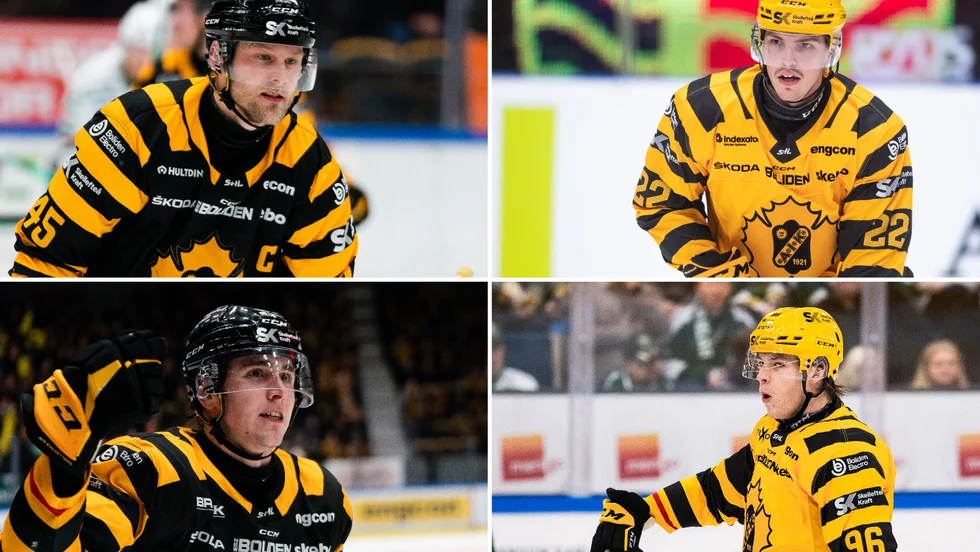 Oscar Möller, Jonathan Johnson, Linus Karlsson och Rickard Hugg får högst betyg bland AIK:s forward under den förstahalvan av SHL.