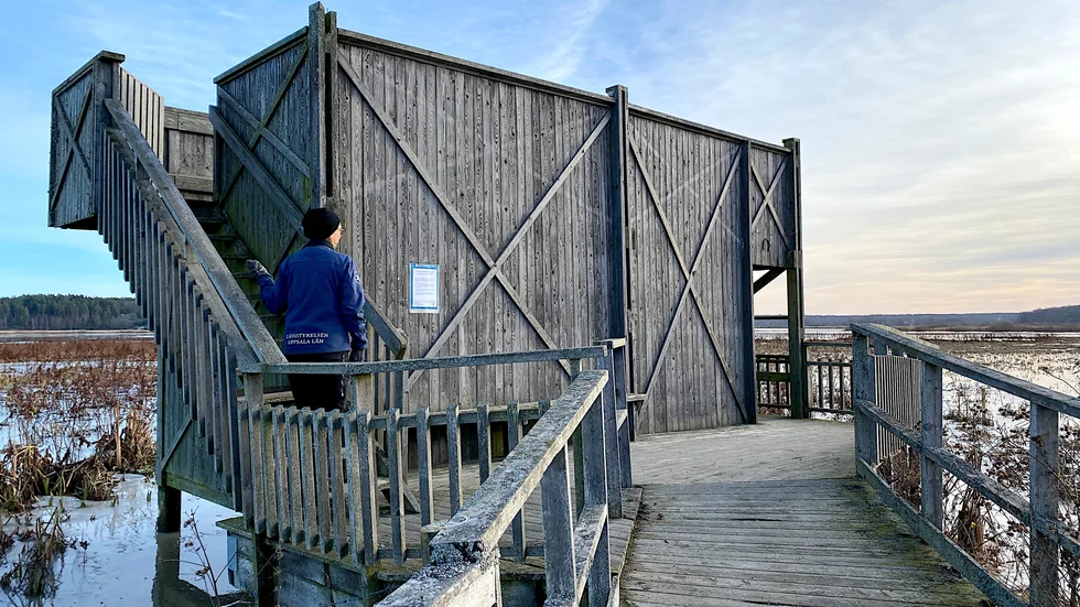 Utbyggnaden av fågeltornet i Hjälstaviken dröjer då länsstyrelsen inte fått tag på någon entreprenör som kan utföra jobbet.
