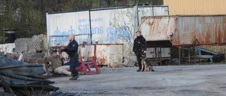 Polisen övade med hundar i centrum