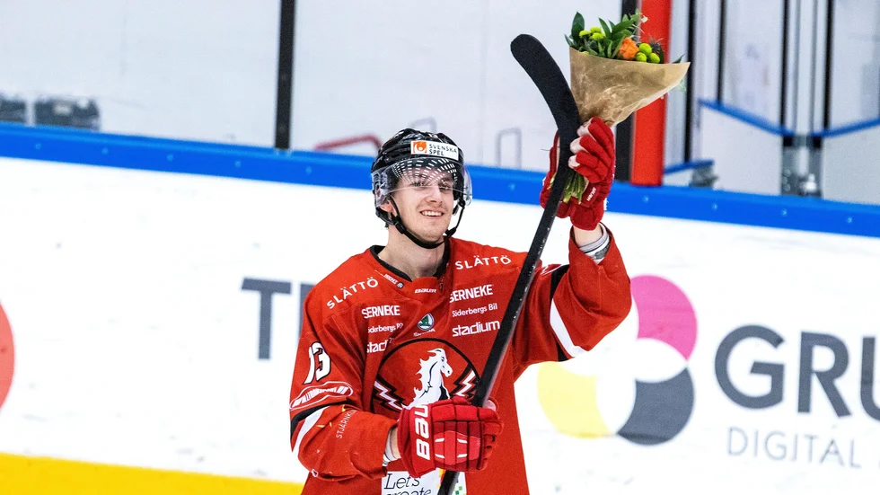 Fabian Ilestedt blev en fin värvning med sina 30 pinnar på 50 matcher. Nästa säsong spelar han i Mora och möter Vita Hästen direkt i premiären.
