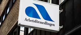 Regeringens satsning har bara gett 17 jobb i Norrbotten