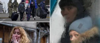 Människor i Ukraina flyr mot gränserna – så kan Gotland komma att ta emot flyktingar • "Följer händelserna noga"