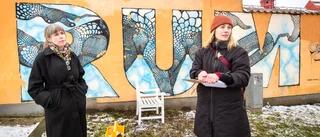 ”Könskonsten” i Visby förfaller • Konservatorn: ”Vet inte hur vi ska ställa oss”