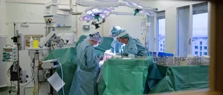 Operationsköerna – hela listan