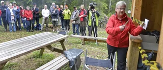 Ny vandringsled vid Varuträsk