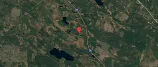 Ägarbyte för skogsmarken på Vänträsk 40 i Boliden