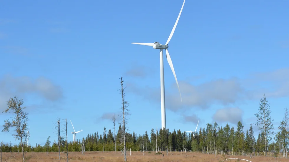 Vindkraft. Malå sameby är orolig för hur nya verk ska påverka renskötseln. Foto: Lennart Enkvist.
