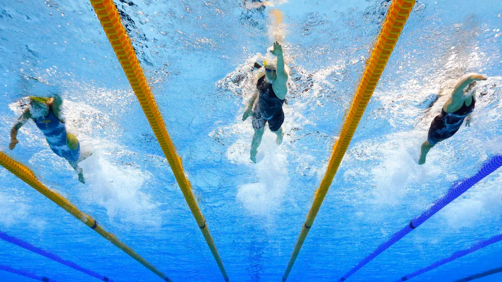 Foto: David J. Phillip.