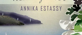 Annika Estassys roman ”Alla dessa hemligheter” är en pinsam soppa – enligt Norrans recensent
