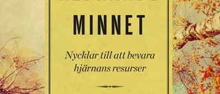 Komplex bok om den mänskliga hjärnan – men saknar handfasta råd