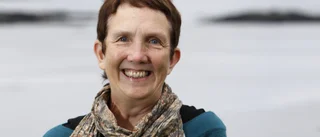 Ann Cleeves kriminalbok ”Tomma luften” gör Norrans recensent besviken