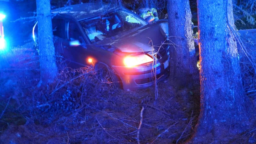 Bilen krockade med ett träd efter att ha väjt för ett vildsvin.