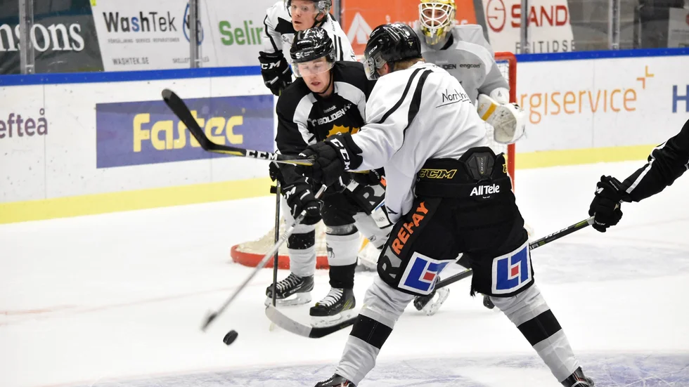 Foto: Roger Lindström.