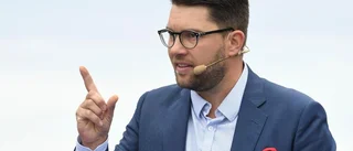 Åkesson: Gjorde det vi ska när det uppdagades