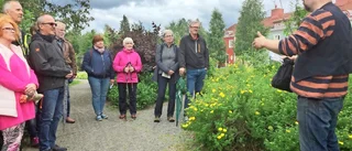Le Corbusie och Bolidens solfjäder
