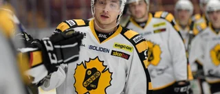 Hete Pettersson laddad inför derbyt mot Luleå: ”Det gäller att vara ödmjuk”