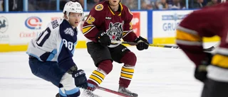 Sellgren efter budet från Carolina: "Det var väntat att de skulle göra så"