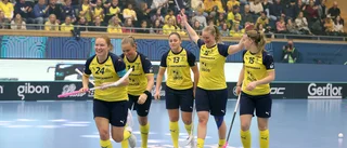 Sveriges förvåning: Vad höll Slovakien på med?